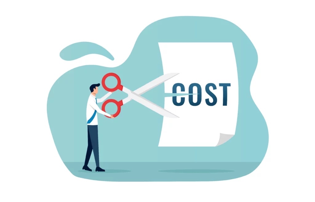Reduce it costs during the crisis: strategy selection, risks | OmiSoft